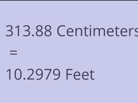 313.88 CM TO FEET