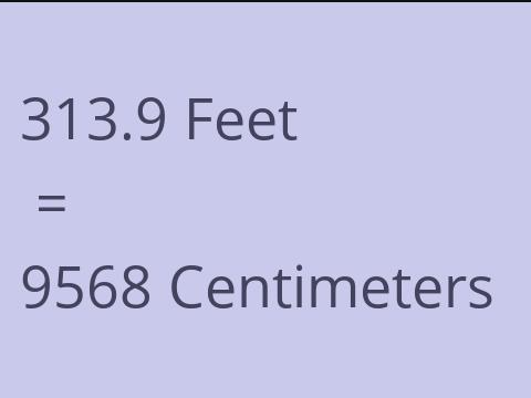 313.9 FEET TO CM