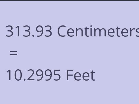 313.93 CM TO FEET