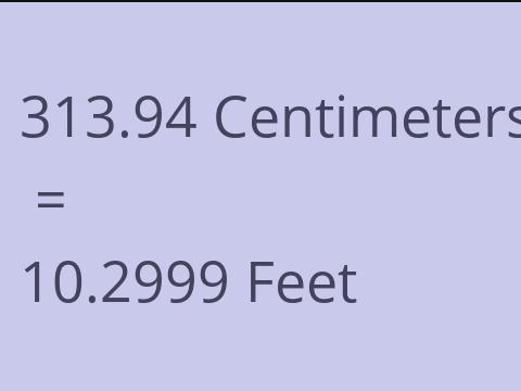 313.94 CM TO FEET