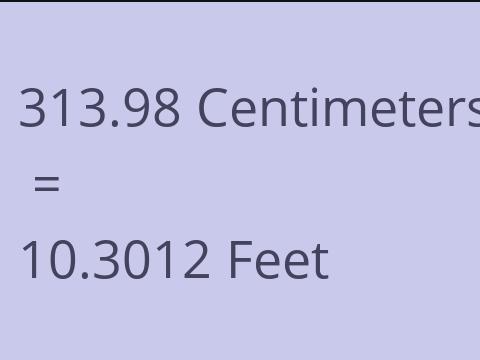 313.98 CM TO FEET