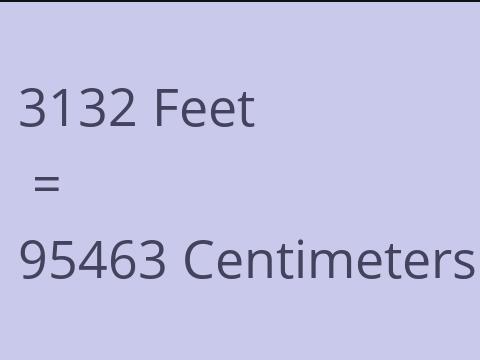 3132 FEET TO CM