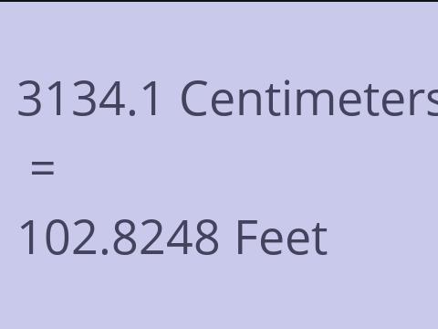 3134.1 CM TO FEET