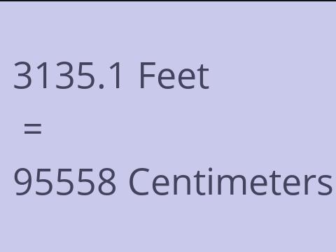 3135.1 FEET TO CM