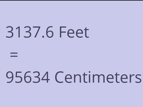 3137.6 FEET TO CM