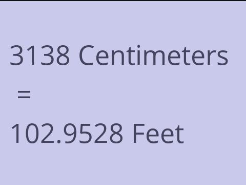 3138 CM TO FEET