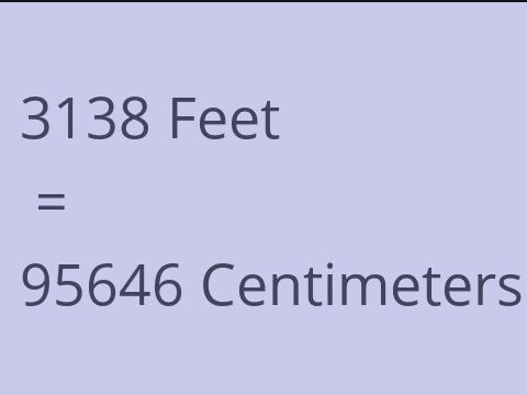 3138 FEET TO CM