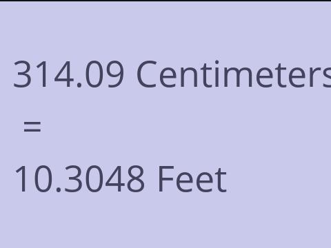 314.09 CM TO FEET