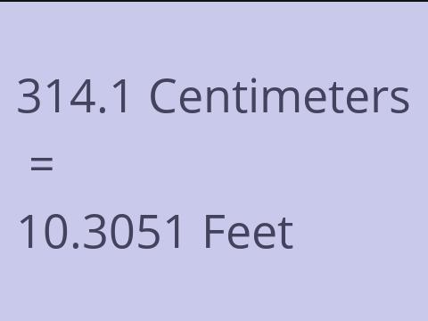 314.1 CM TO FEET