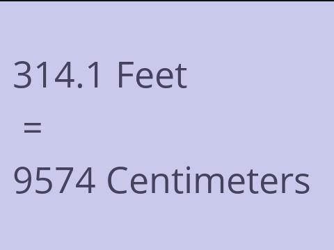 314.1 FEET TO CM