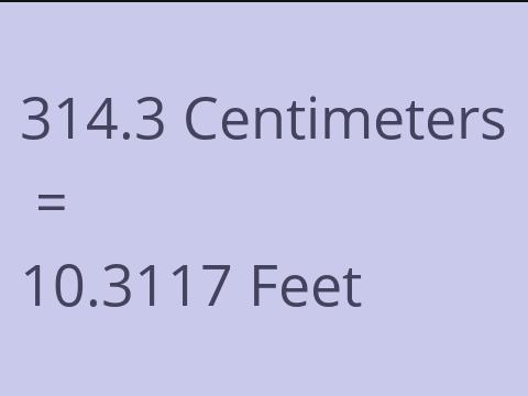 314.3 CM TO FEET