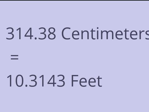 314.38 CM TO FEET