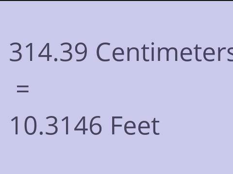 314.39 CM TO FEET