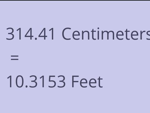 314.41 CM TO FEET