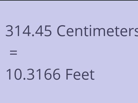 314.45 CM TO FEET