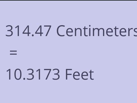 314.47 CM TO FEET