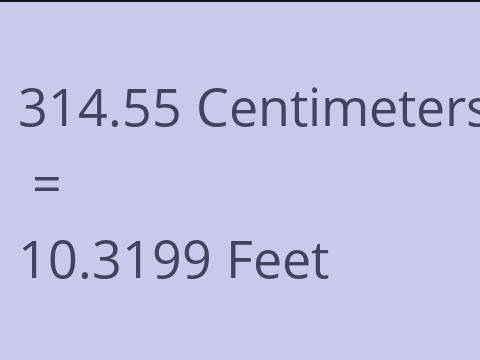 314.55 CM TO FEET