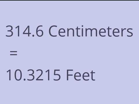 314.6 CM TO FEET