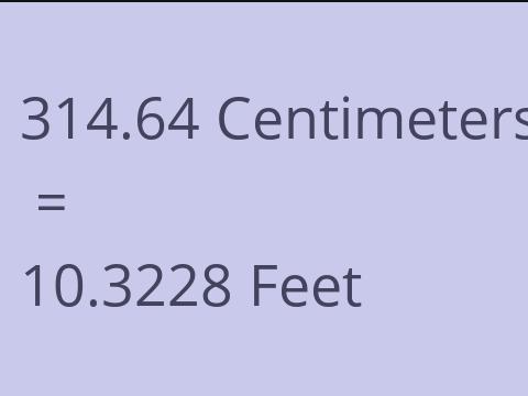 314.64 CM TO FEET