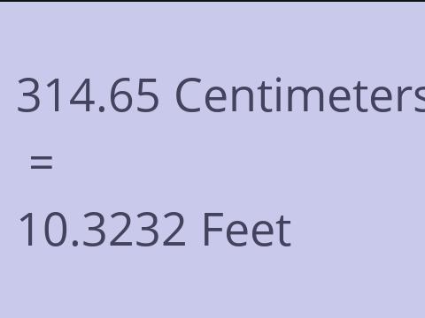 314.65 CM TO FEET