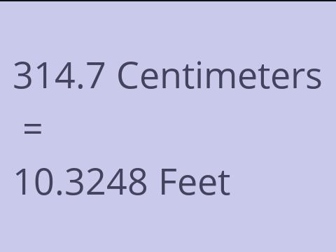 314.7 CM TO FEET