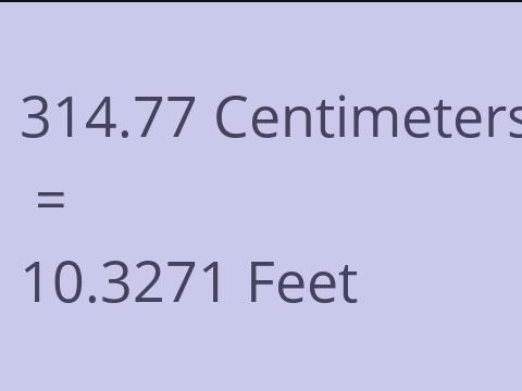 314.77 CM TO FEET