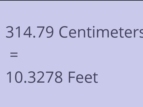 314.79 CM TO FEET