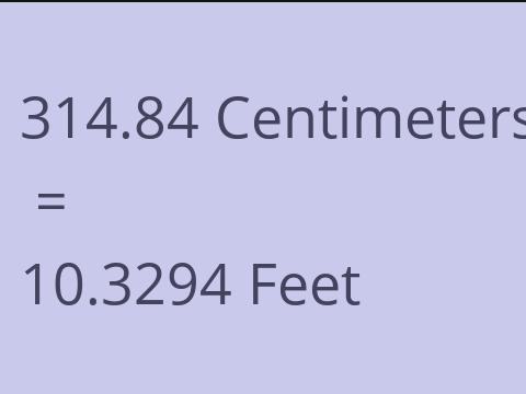 314.84 CM TO FEET