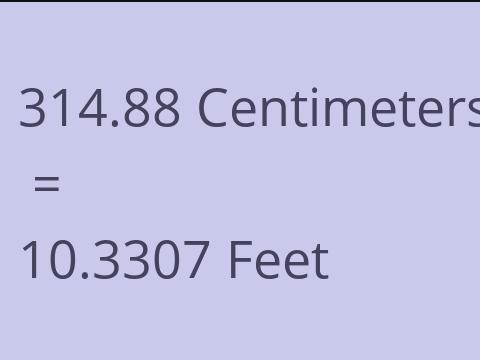 314.88 CM TO FEET