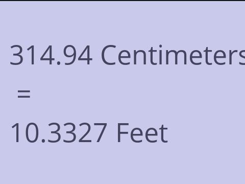 314.94 CM TO FEET