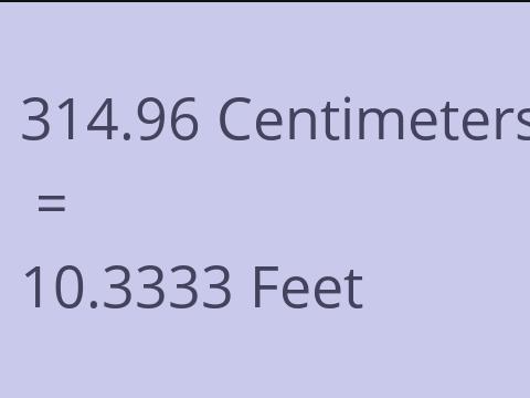 314.96 CM TO FEET