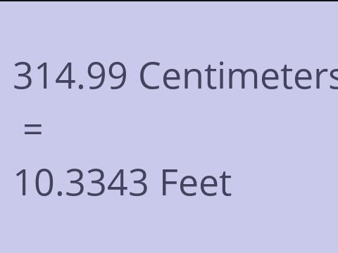 314.99 CM TO FEET