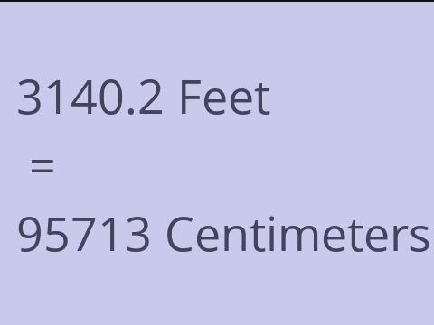 3140.2 FEET TO CM