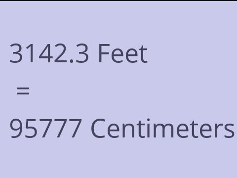 3142.3 FEET TO CM
