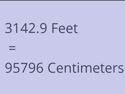 3142.9 FEET TO CM