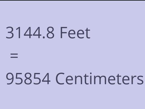3144.8 FEET TO CM