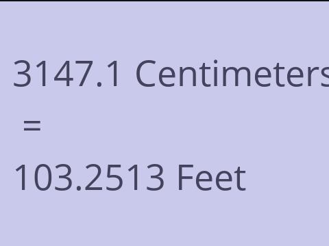 3147.1 CM TO FEET