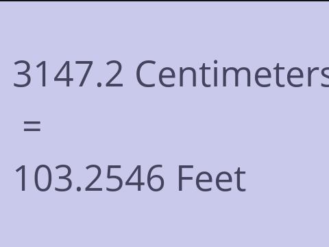 3147.2 CM TO FEET