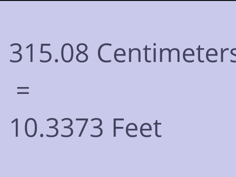 315.08 CM TO FEET