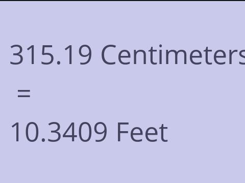 315.19 CM TO FEET