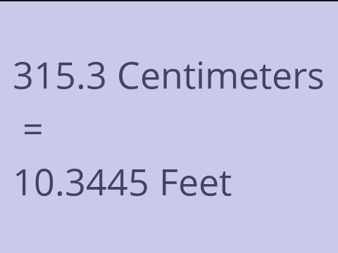 315.3 CM TO FEET