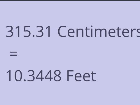 315.31 CM TO FEET