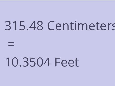 315.48 CM TO FEET