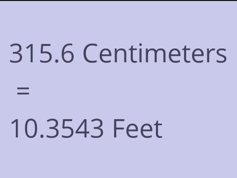 315.6 CM TO FEET