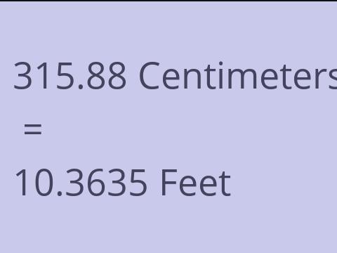 315.88 CM TO FEET