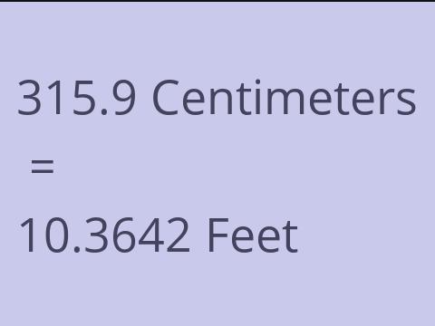 315.9 CM TO FEET