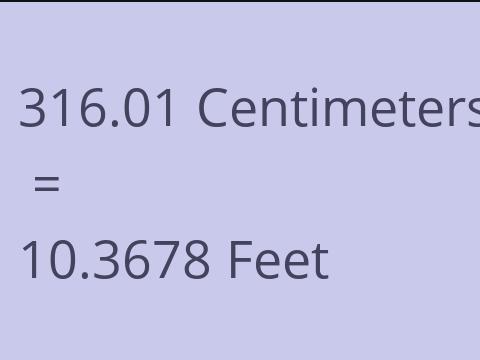 316.01 CM TO FEET