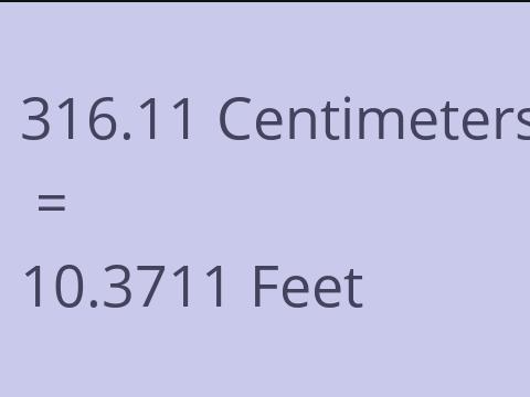 316.11 CM TO FEET