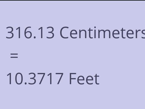 316.13 CM TO FEET