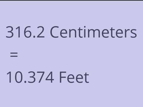 316.2 CM TO FEET